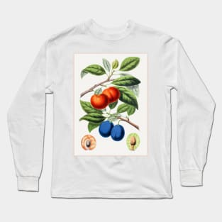 Hand drawn plum Long Sleeve T-Shirt